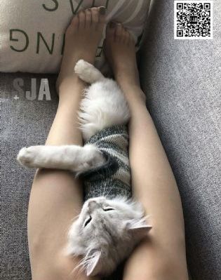 cctv1人世间免费回放