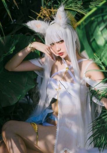 夏至未至电视剧免费观看完整版