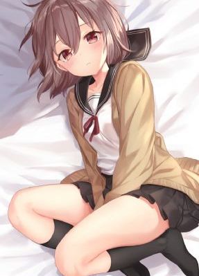 吹落的树叶